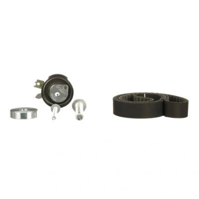 Image of 1276084A00, 1276084A01, 1276084A50 Timing belt kit GATES FleetRunner Micro V Stretch Fit K025578XS RENAULT: Kangoo II Express, CLIO 2