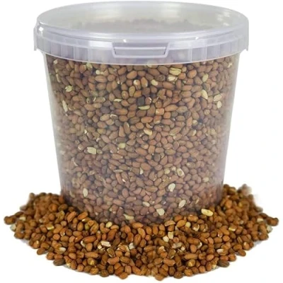 Image of BusyBeaks Premium Whole Peanuts (5L) for Wild Birds High Energy Bird Food &amp; Nuts Natural, Aflatoxin Free Peanuts, Nutritious Feed Garden Squirrels