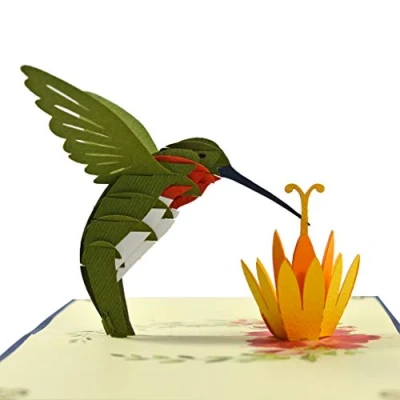 Image of CUTPOPUP Hummingbird Birthday Card Pop Up, 3D Anna Up Wonderful Greeting For Grandma, Mom, Mother In Law, Son, Daughter, Kids On Birthday, Mother’s Day, Christmas UK