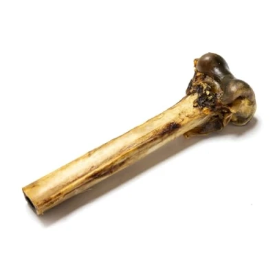 Image of Natural Treats Ostrich “DINO Bones (1pc) for Dogs 100% Hypoallergenic Long Lasting Chew