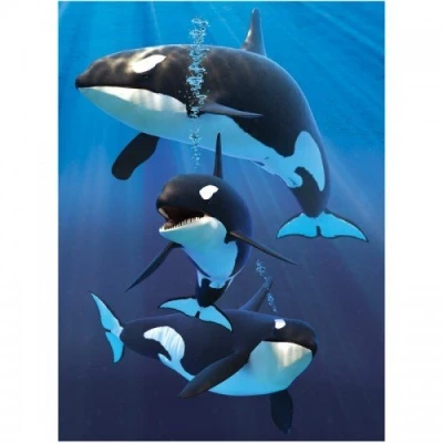 Image of 3D LiveLife Jotter Orcas from Deluxebase. Lenticular Ocean A6 Spiral Notebook with Plain Recycled Paper Pages. Artwork Licensed Renowned Artist David Penfound