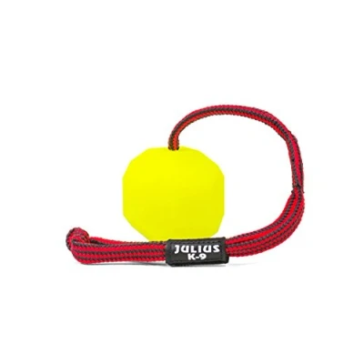 Image of IDC Neon Fluorescent Ball with String, 60 mm, Hard version