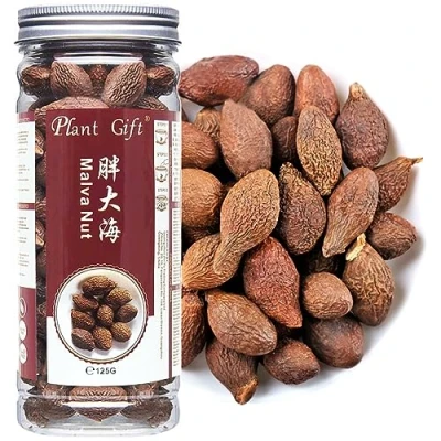 Image of PlantGift Malva Nut 125G/4.4oz 胖大海 Dried Sterculia Lychnophora, Pangdahai, Chinese Health Tea