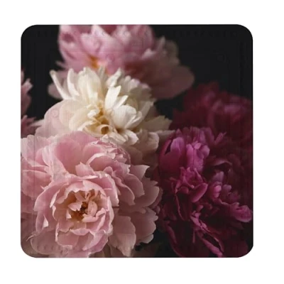 Image of Kleine Wolke Textilgesellschaft Shower Inlay Rosemarie Bordeaux 55 x cm