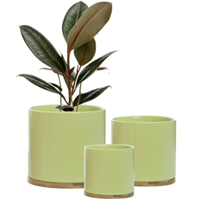 Image of Set 3 Ceramic Plant Pots with Bamboo Coasters Indoor Planters White Pot Ser Flower Containers Outdoor Large, Medium, Small saucers (Green)