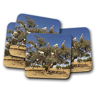 Image of 4 Set Funny Tree Goats Coaster Goat Morocco Animal Kids Mum #8667