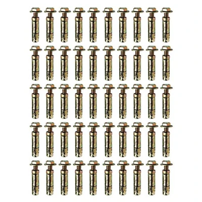 Image of M10 x75mm Loose Bolt Shield Anchor Heavy Duty Wall Plug Pack 50