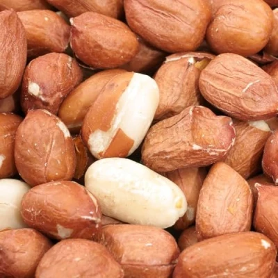 Image of Bird Whole Peanuts Quality Fresh Feed for Wild Birds Garden (25KG)