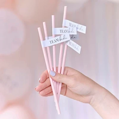 Image of Ginger Ray Team Bride Hen Party Paper Straws Pack of 16,Pink