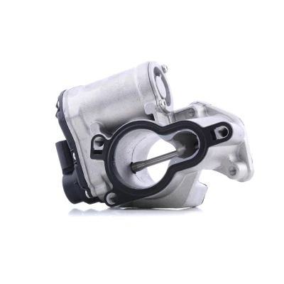 Image of 1495600Q0F, 1495600Q0J, 1495600Q1A EGR Valve PIERBURG 7.10334.05.0 Electric Control with seal RENAULT: TRAFIC 2 Kasten, LAGUNA 3, MEGANE