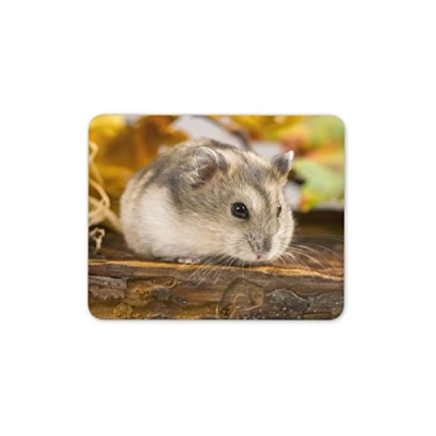 Image of Cute Field Mouse Mat Pad Mice Rodent Hamster Kids Gift PC Computer #8500