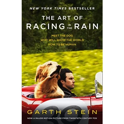 Image of the Art of Racing in Rain