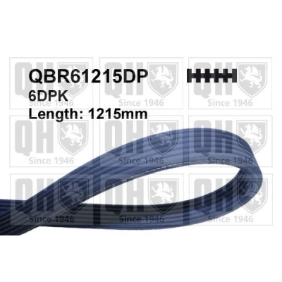 Image of 038903137S V ribbed belt QUINTON HAZELL QBR61215DP 1215mm 6 VOLKSWAGEN: Transporter 5, Caddy 3, 5 Bus