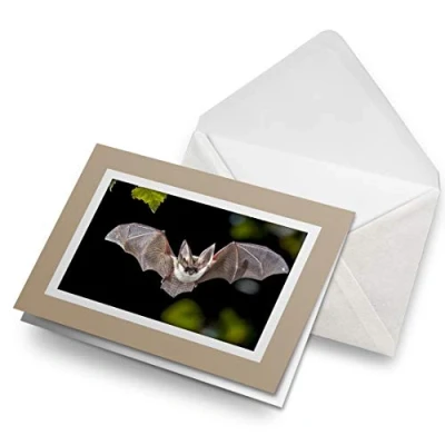 Image of Greeting Cards Biege (Insert) Flying Long Eared Bat Blank Greetings Card Birthday Kids Party Boys Girls #3427