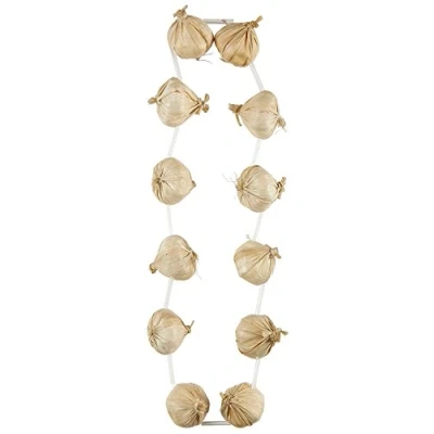 Image of Widmann ? Garlic Unisex adult Necklace, White, 48 cm, vd wdm03615