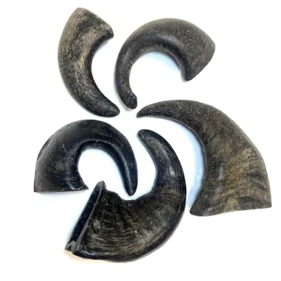 Image of Small Buffalo Horns x 20 Natural Dog Treats Chews
