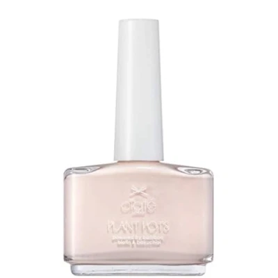 Image of Plant Pot Vegan Friendly Nail Polish Amazing Gra