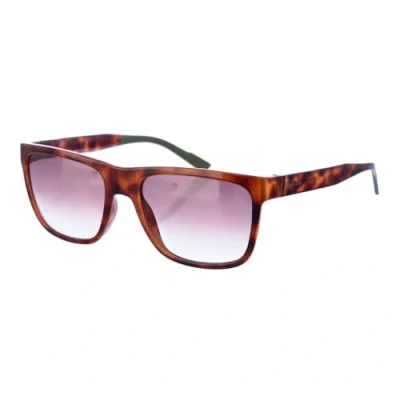 Image of Calvin Klein CK21531S Sunglasses for Men Brown Havana