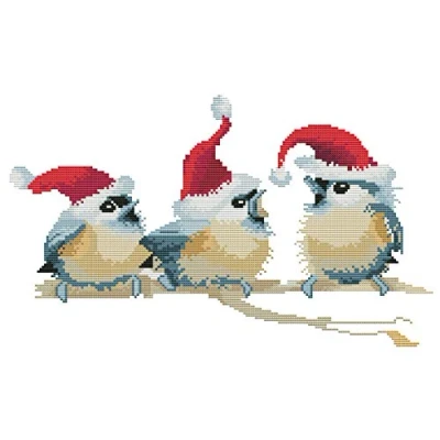 Image of Abillyn Embroidery Cross Stitch Kits Three Birds Wear Christmas Hats Stamped with Printed Pattern Starter Kit (Birds)