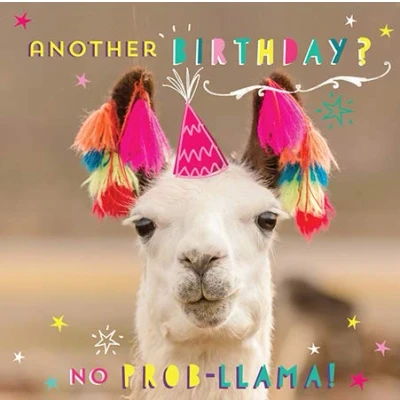 Image of 3D Birthday Card Llama with Tassles from The Beautiful Range Ling Design