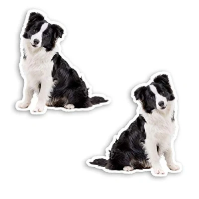 Image of 2 x 10cm Border Collie Puppy Vinyl Stickers Dog Sticker Luggage Laptop #20696 (10cm Tall)