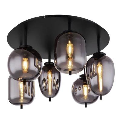 Image of Blacky Globe Ceiling Light Matt Black Smoke Glass Shade 6x E14