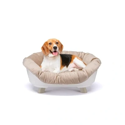Image of Ferplast Dog Bed &amp; Cat with Cushion, Washable, Raised Bed, Plastic Small, Basket Basket, Breathable Antislip, SOFA&#039; THRONE 73 x 55 h 32 cm, White
