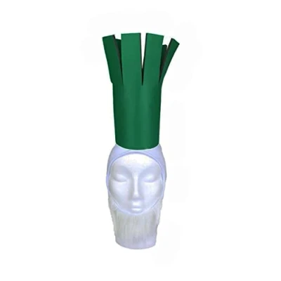 Image of jokeshop Novelty Leek Hat Welsh Cymru World Cup Rugby Football Supporter