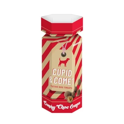 Image of Rosewood Cupid &amp; Comet Choc Orange Dog Treats (100g),