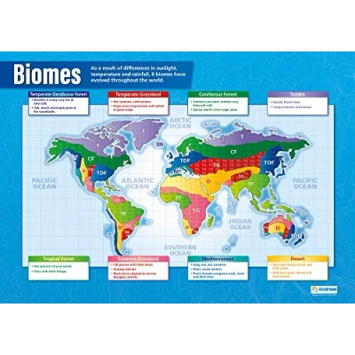 Image of Volcanoes Geography Posters Laminated Gloss Paper measuring 850mm x 594mm (A1) Classroom Education Charts by Daydream