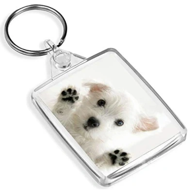Image of Westie Puppy Keyring West Highland Terrier Dog White Cute Fun #8954