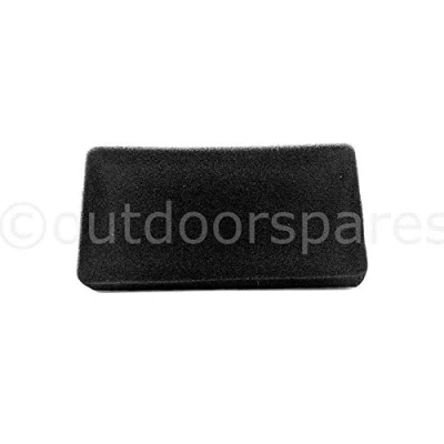 Image of Genuine Cobra DG450 Lawnmower Engine Air Filter For M46C M46SPC RM46SPCE Part No.CO25100134901