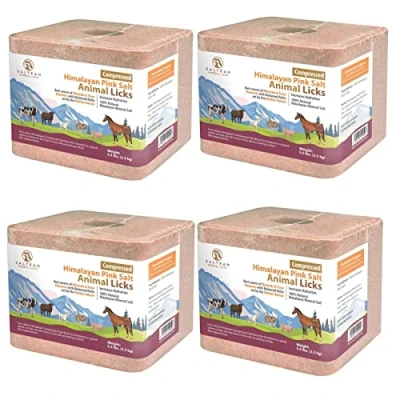 Image of SALTEAN Compressed Himalayan Horses Lick Natural Pink Salt,For all Animals(2.5 kg) &quot;Salt Range Pakistan&quot; (PACK OF 4)