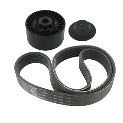 Image of 1175000QAT V ribbed belt set SKF VKMA 36056 RENAULT: Clio 3, 4, TWINGO 2
