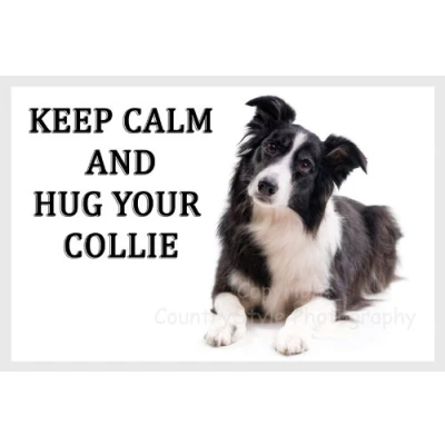 Image of Border Collie Fridge Magnet Sheepdog Gift Keep Calm and hug your