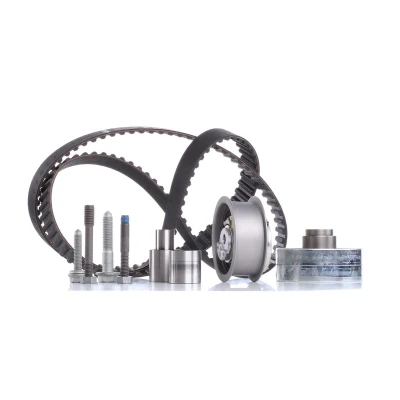 Image of 076109119A Timing belt kit INA 530 0082 10 141 VOLKSWAGEN: Golf 4, New Beetle Hatchback, Polo III Classic, SEAT: Leon I Ibiza 2