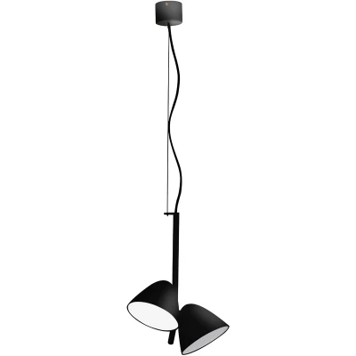 Image of Flash LED 2 Light Adjustable Dome Ceiling Pendant Black