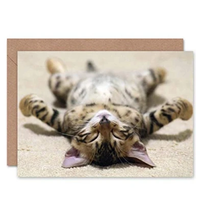 Image of Wee Blue Coo Greeting Supine Cute Sleeping Kitten Cat Gift Sealed Card Plus Envelope Blank inside