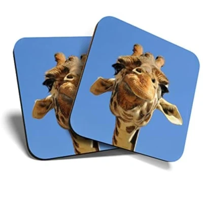Image of Great Coasters (Set of 2) Square/Glossy Quality Coasters/Tabletop Protection for Any Table Type Silly Giraffe Wild Animal Funny #8956