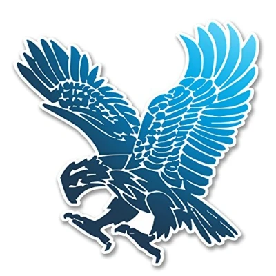 Image of 2 x 10cm Eagle Vinyl Sticker Laptop Tablet Car Bike Helmet Bird USA German #6244 (10cm 10cm)