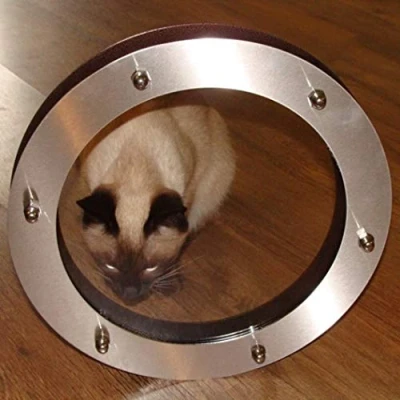Image of Porthole for Door Flat INOX 230 mm Glass Transparent Nuts Coupling