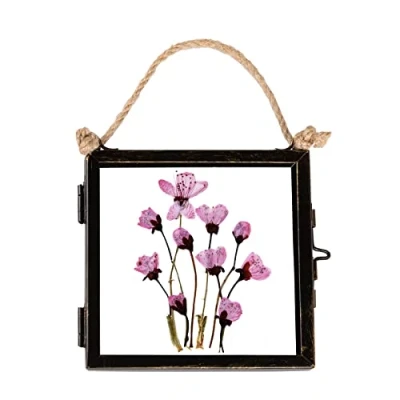 Image of 4&quot; x Black Hanging Metal Photo Frame By Nicola Spring