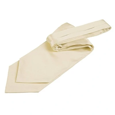 Image of DQT Men Plain Satin Wedding Formal Casual Groom Best Man Classic Ascot Self Tied Cravat Champagne