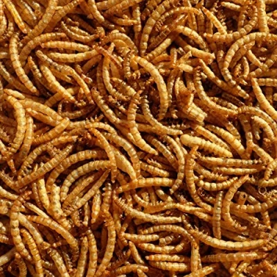 Image of Premium Dried Mealworms, 2.5 Litre