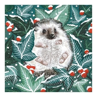 Image of Marie Curie Hedgehog Christmas Greeting Cards 14x14cm Pack of 10 with Envelopes 100% FSC Board Made in UK