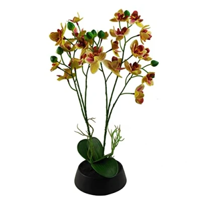 Image of Luxury Potted Orchid Artificial