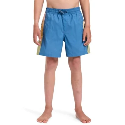 Image of Quiksilver Everyday Holmes Volley Swimming shorts for kids, Size: 10y, Blue