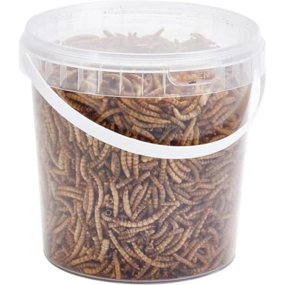 Image of Pet Ting Premium Dried Mealworms, 1 Liter Tub