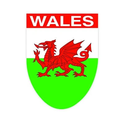 Image of Wales Welsh Cymru Flag Decal Sticker Car Bike (Wales Dragon Shield)