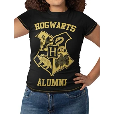 Image of Harry Potter Ladies Hogwarts Short Sleeve T shirt, Multicoloured, S